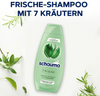 Schauma 7 Kräuter Ziołowy Szampon do Włosów 400 ml