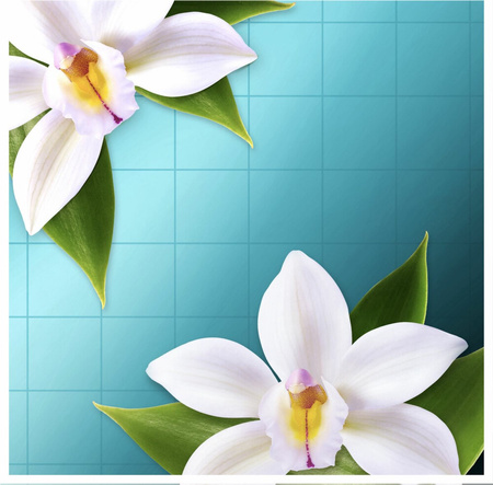 Antikal Douche Express Expresowy Środek na Kamień 500ml