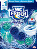 WC-Frisch Blau Kraft-Aktiv Ozeanfrische Zawieszka WC 50 g