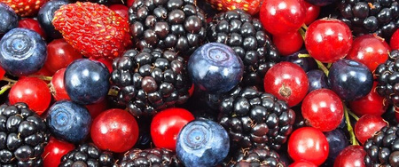 G&G Konfitura Extra Owoce Leśne 450 g