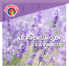 Chanteclair Sagrassatore Odtłuszczacz Lavanda 600 ml
