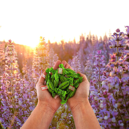 Em-eukal Klassisch Cukierki bez Cukru 75 g