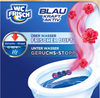 WC-Frisch Blau Kraft-Aktiv Blütenfrische Zawieszka WC 50 g