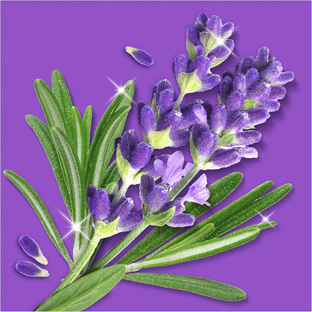 Mr.Propre Savon De Marseille Spray z Mydłem Marsylskim 500ml