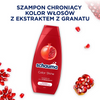 Schauma color glanz 400ml