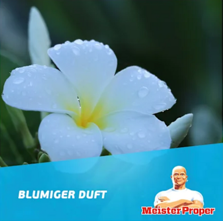 Meister Proper Frühlingserwachen Uniwersalny Środek Czyszczący 1 l