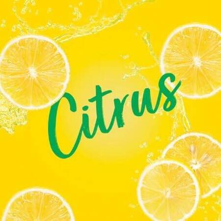 Airpure Citrus Zing Odświeżacz Powietrza 250 ml