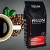 Pellini Crema Tradizionale Kawa Ziarnista 1 kg